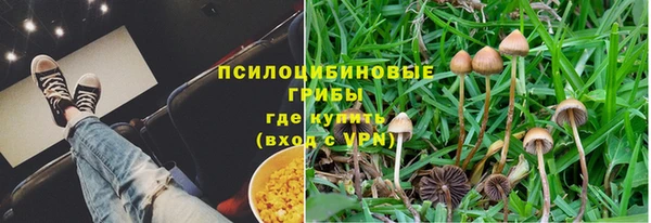 дурь Арсеньев