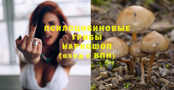 марки nbome Аркадак